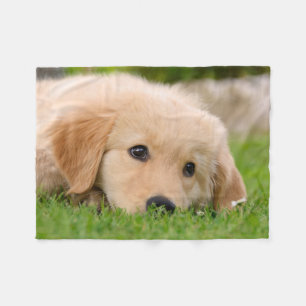 Goldener Retriever-niedliches Welpen-Träumen, Fleecedecke