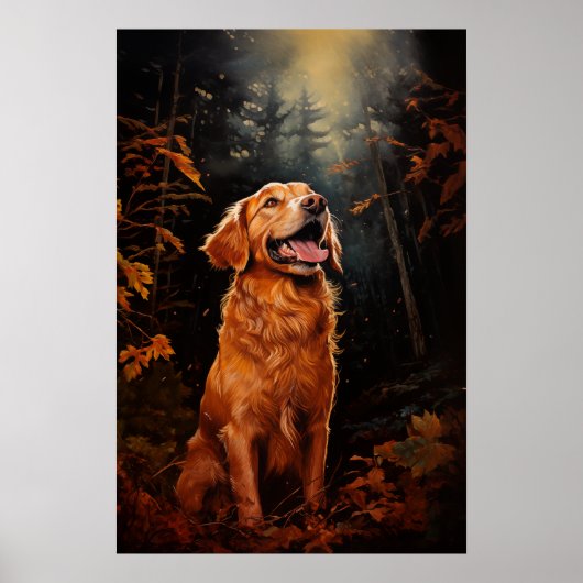 Goldener Retriever Poster (Vorne)