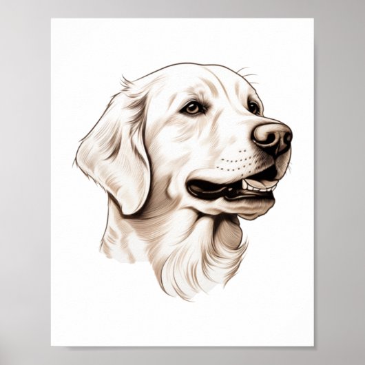 Goldener Retriever Poster (Vorne)
