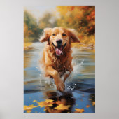 Goldener Retriever Poster (Vorne)