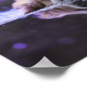 Goldener Retriever Poster (Ecke)