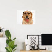Goldener Retriever Poster (Heimbüro)