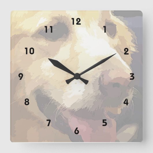 Goldener Retriever Quadratische Wanduhr (Vorderseite)