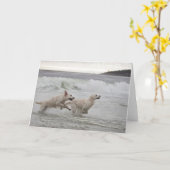 Goldener Retriever-Raum-Foto-Karte Karte (Gelbe Blume)