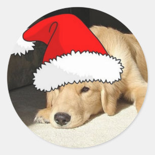 Goldener Retriever Runder Aufkleber
