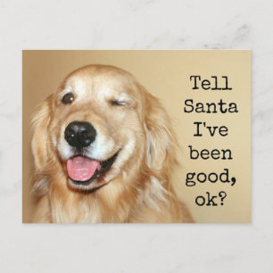 Goldener Retriever Sage Weihnachtskarte Feiertagspostkarte