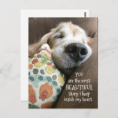 Goldener Retriever Schöne Sache Liebe Postkarte (Vorne/Hinten)
