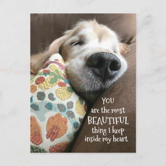 Goldener Retriever Schöne Sache Liebe Postkarte (Vorderseite)