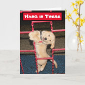 Goldener Retriever setzt sich dort für Ermutigung  Karte (Gelbe Blume)