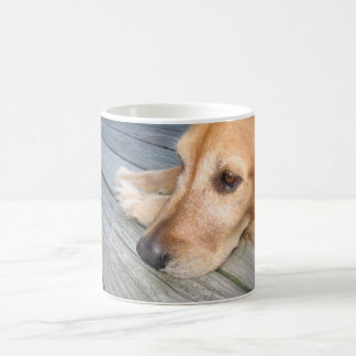 Goldener Retriever-Tasse Kaffeetasse