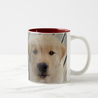 Goldener Retriever TASSEN-Welpe Zweifarbige Tasse
