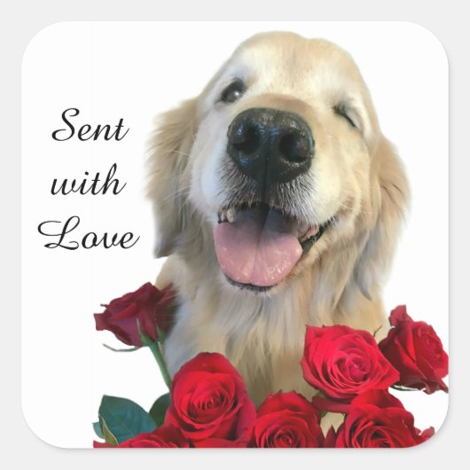 Goldener Retriever und Rose mit Liebe Quadratischer Aufkleber (Vorderseite)