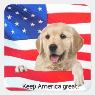 Goldener Retriever unter amerikanischer Flagge Quadratischer Aufkleber