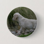 Goldener Retriever-Welpe stehend Button (Vorderseite)