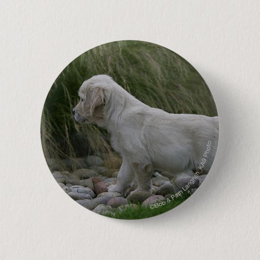 Goldener Retriever-Welpe stehend Button (Vorderseite)