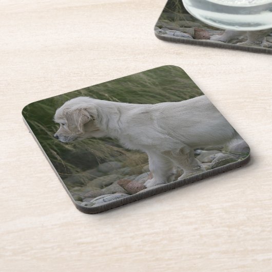 Goldener Retriever-Welpe stehend Getränkeuntersetzer (Linke Seite)