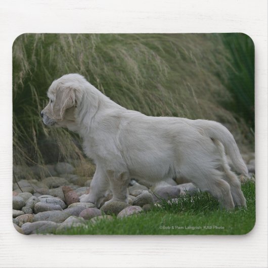 Goldener Retriever-Welpe stehend Mousepad (Vorne)