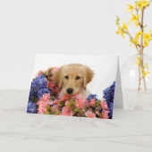 Goldener Retriever-Welpe und Blumen Karte (Gelbe Blume)
