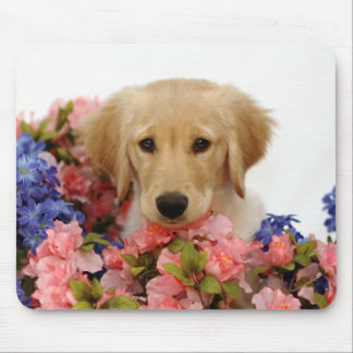 Goldener Retriever-Welpe und Blumen Mousepad