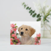 Goldener Retriever-Welpe und rosa Blumen Postkarte (Stehend Vorderseite)