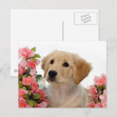 Goldener Retriever-Welpe und rosa Blumen Postkarte (Vorne/Hinten)