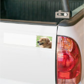 Goldener Retriever-Welpen-Autoaufkleber Autoaufkleber (Auf Lkw)