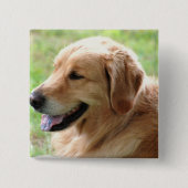 Goldener Retriever-Welpen-Button Button (Vorderseite)