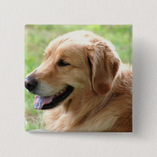 Goldener Retriever-Welpen-Button Button