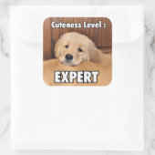 Goldener Retriever, Welpenkeits-Grad Quadratischer Aufkleber (Tasche)