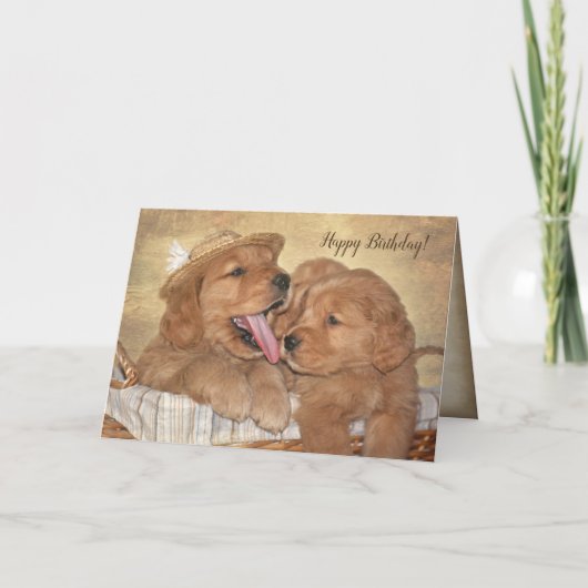 Goldener Retriever Welpenspass Karte (Vorderseite)