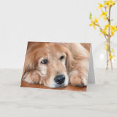 Goldener Retriever wird gut Karte (Gelbe Blume)