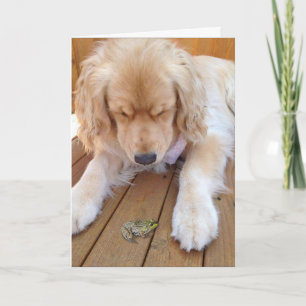 Goldener Retriever zum Geburtstag mit Frosch Karte
