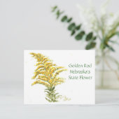 Goldener Rod, Postkarte (Stehend Vorderseite)