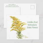 Goldener Rod, Postkarte (Vorne/Hinten)