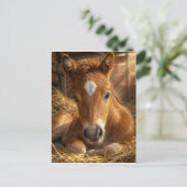 Goldener Schlummer sanftes Fohlen Postkarte (Stehend Vorderseite)