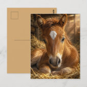 Goldener Schlummer sanftes Fohlen Postkarte (Vorne/Hinten)