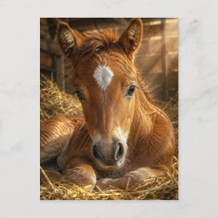 Goldener Schlummer sanftes Fohlen Postkarte