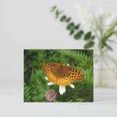 Goldener Schmetterling Postkarte (Stehend Vorderseite)