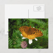 Goldener Schmetterling Postkarte (Vorne/Hinten)