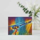 Goldener Schwanz: Postkarte (Stehend Vorderseite)