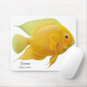 Goldener Severum Cichlid Mousepad (Mit Mouse)