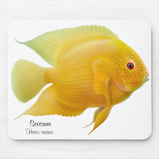 Goldener Severum Cichlid Mousepad (Vorne)