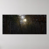 Goldener Sonnenaufgang im Winterwald Poster (Vorne)