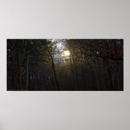 Goldener Sonnenaufgang im Winterwald Poster