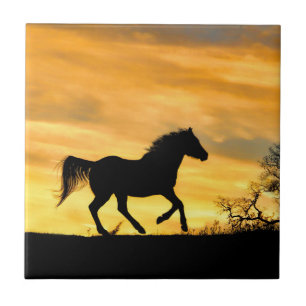 Goldener Sonnenaufgang Reiten Kunst, Dichtung und Fliese