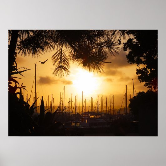 Goldener Sonnenaufgang über dem Hafen Poster (Vorne)