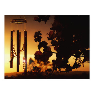 Goldener Sonnenuntergang Fotodruck