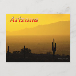 Goldener Sonnenuntergang in Arizona mit Saquaro-Ka Postkarte