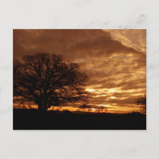 Goldener Sonnenuntergang Kalifornien Postkarte