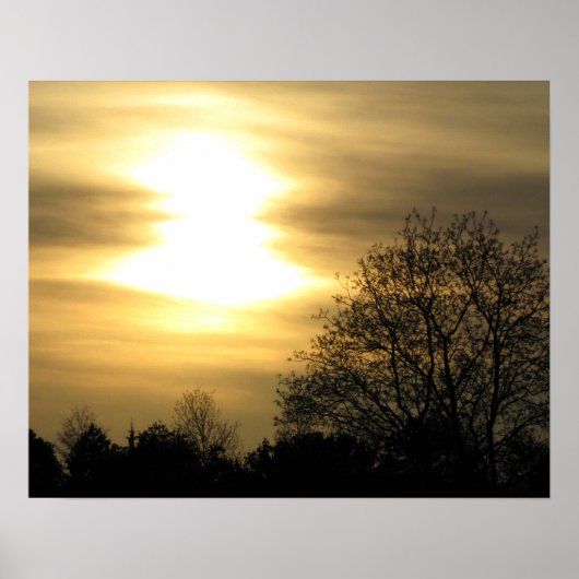 Goldener Sonnenuntergang mit silberfarbenen Bäumen Poster (Vorne)